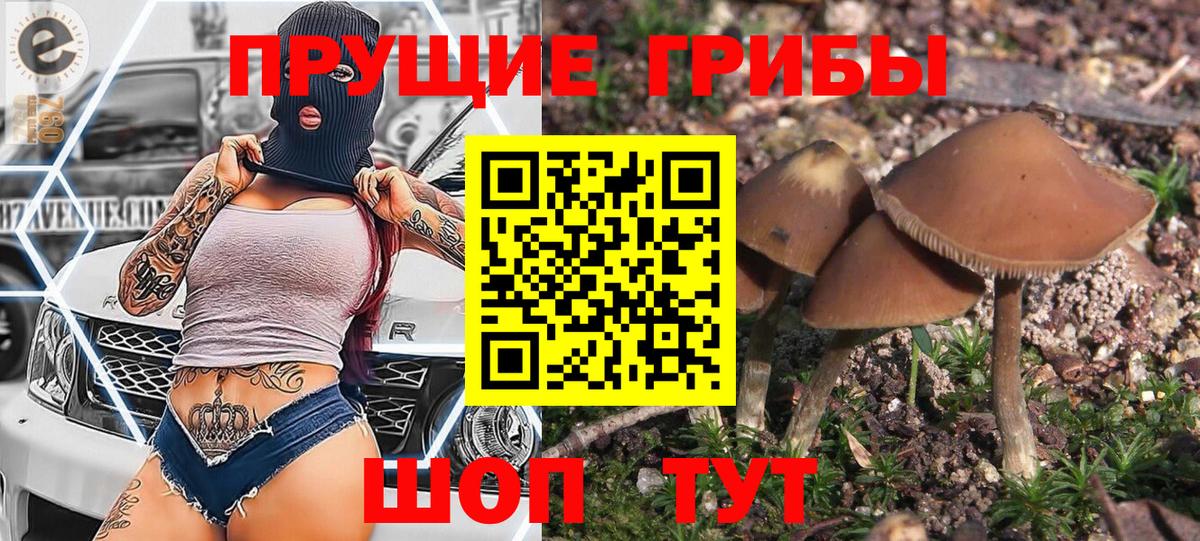 где купить наркоту  Галлюциногенные грибы ЛСД  Галлюциногенные грибы мухоморы  Вход с VPN  Наро-Фоминск 